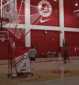 D1 Programs – Alabama